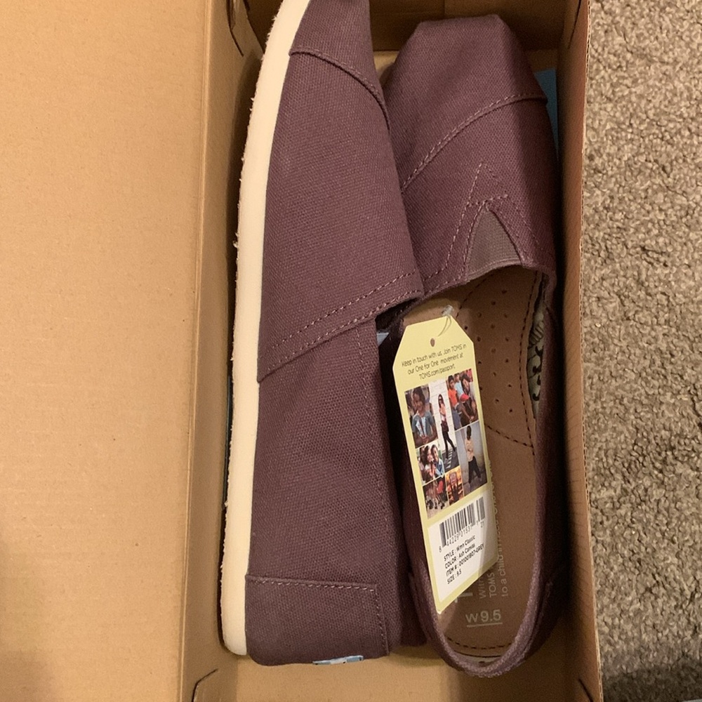 Classic Toms Ash Canvas